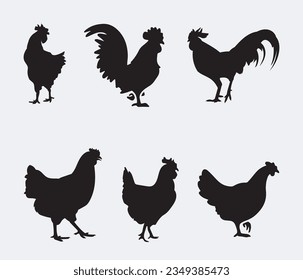 	
isolated black silhouette of a chicken , vector collection	