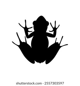 Isolated black silhouette of frog on white background. Black flat cartoon toad. Top view