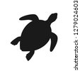 turtle black background