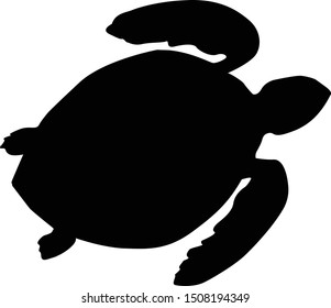 Isolated black silhouette of marine green turtle on white background.