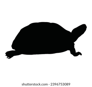 Isolated black silhouette of marine green turtle on white background.