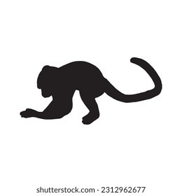 isolated black silhouette of a monkey