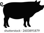 Isolated black silhouette of a pig. Simple elegant profile, distinctive curly tail and shape. Clean design ideal for farm themes, food production, agricultural contexts.
