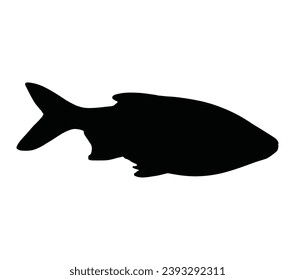 Isolated black silhouette rudd on white background. Vector illustration.