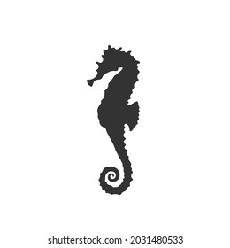 Isolated black silhouette of seahorse on white background. Side view. Silhouette of marine animal. Sea horse.