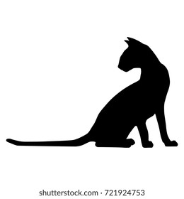 Isolated black silhouette of a seating turned-round oriental cat.