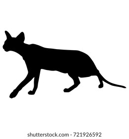 Isolated black silhouette of a sneaking oriental cat. 