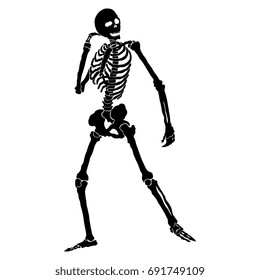 Isolated black silhouette of standing human skeleton.