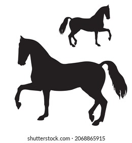 isolated black silhouette of a trotting horse on a white background