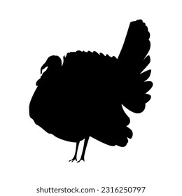 Isolated black silhouette turkey on white background