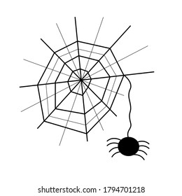 Isolated black spider and cobweb on a white background. Scary and gloomy Halloween vector illustration.