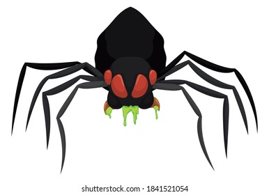 Isolated black spider with ferocious attitude and drooling a dangerous venom, over white background.