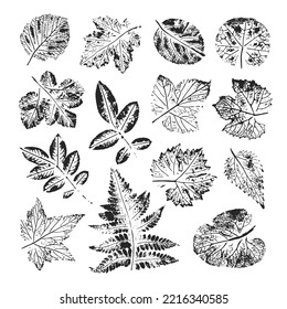 Isolated black stamps of herbs, leaves of tree and bush on white background. Leaf ink print. Set of plant imprint.