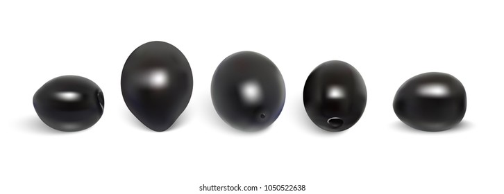 Isolated black vector olives on white background