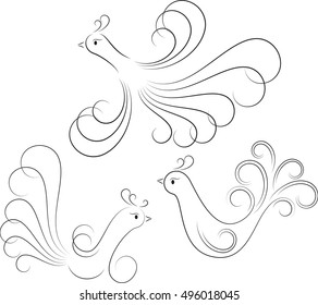 Isolated Black and White Birds. Vector Illustrations