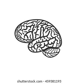 Isolated black and white brain contour vector logo. Gyrus silhouette logotype. Human intelligence illustration.