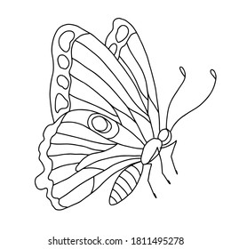 Isolated black and white butterfly on a white background. Vector illustration. Insect.