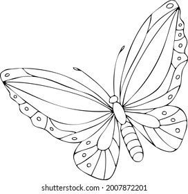 Isolated black and white butterfly on a white background. Vector illustration.