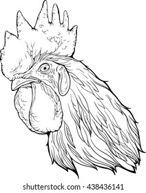 Isolated black and white image of cock's head. Coloring page.