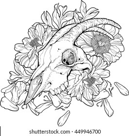 Isolated black and white image of part of goat skull and flowers