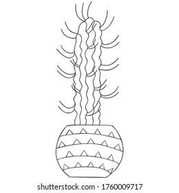 Isolated black and white stylized Eulychnia cactus growing in a pot. Vector.