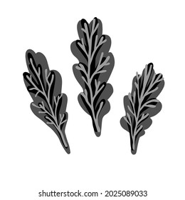 Isolated black and white vector design illustration of decorative leaves, lined and silhouette. The design is perfect for textiles, sheets, backgrounds, surfaces, stickers, posters, decorations