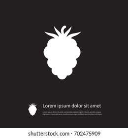 Isolated Blackberry Icon. Raspberry Vector Element Can Be Used For Bramble, Blackberry, Dewberry Design Concept.