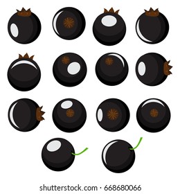 Isolated blackcurrants. Collection vector of black currant berries of different shapes isolated on white background.