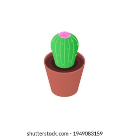 Cactus en floración aislada en una olla sobre un fondo blanco. Ilustración isométrica vectorial plana.