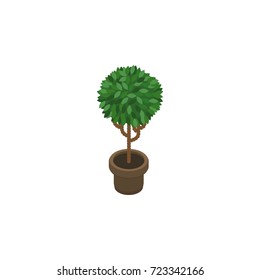 Isolated Blossom Isometric. Tree Vector Element Can Be Used For Flower, Flowerpot, Plant Design Concept.