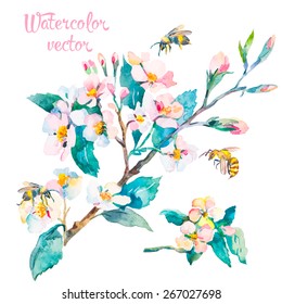 Isolated blossoming branch. Spring flowers and bees. Spring. Isolated on white background. Vector.