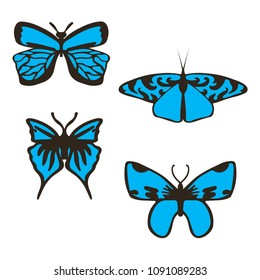 Isolated blue and black butterflies on white background. Vector butterfly set collection