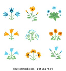 Isolated blue and orange flowers set