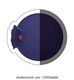 Isolated blueberry fruit design