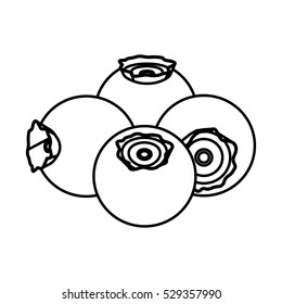 Isolated blueberry fruit design