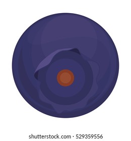 Isolated blueberry fruit design