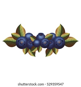 Isolated blueberry fruit with leaves design