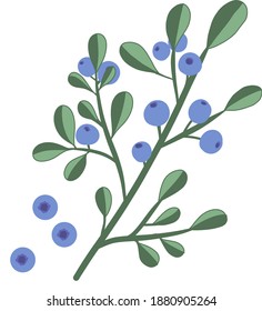 Isolated Blueberry sprig. fresh vitamin small Blueberries on branch. Healthy organic sweet blue fruits concept for sticker, app, print, grocery store. Trendy flat hand drawn doodle design