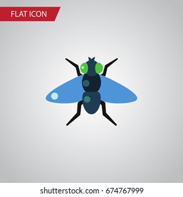 Isolated Bluebottle Flat Icon. Dung Vector Element Can Be Used For Dung, Fly, Bluebottle Design Concept.