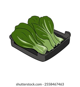 Isolated BOK CHOY in black hot pot plate,vegetables vector hand drawing illustration,Green leaves and whole part of bok choy,pak choi or pok choi Chinese cabbage.Hight fiber food, hot pot ingredients.