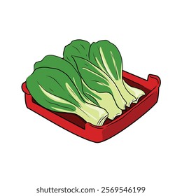 Isolated BOK CHOY vegetables in red plate, vector hand drawing illustration. Green leaves and whole part of bok choy,pak choi or pok choi Chinese cabbage. Hight fiber food, hot pot ingredients.