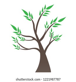 Isolated bonsai tree image. Vector illustration design