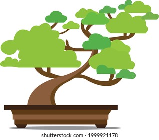 An isolated bonsai tree on a clean background. Vector illustration.