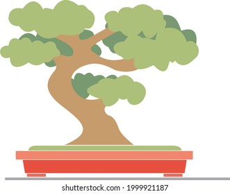 An isolated bonsai tree on a clean background. Vector illustration.