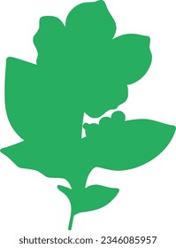 isolated botanical green plant silhouette with leaves