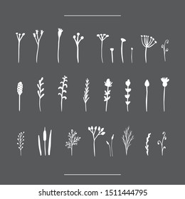 Isolated botanical vector set. Hand drawn white lineart and solid herbs illustrations collection on black chalk board background. Field floral plants doodles. Different meadow flowers sketches
