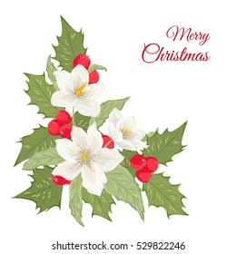 Isolated bouquet of hellebore winter rose flowers and mistletoe holly berries. Vector design element. Merry Christmas card template with text placeholder.