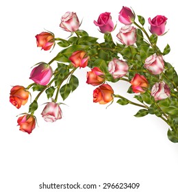 Isolated bouquet roses. EPS 10 vector file included