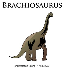 isolated brachiosaurus dinosaur vector illustration