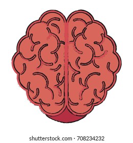 Isolated brain design